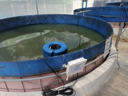 AquaCulture Management System